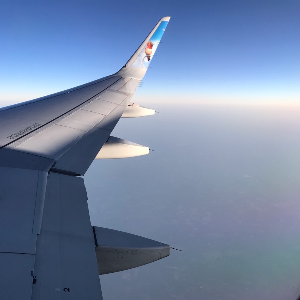 Meet your Posher, Adriana